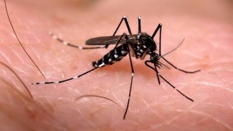 Famurs orienta municípios sobre Dia de Combate ao Aedes aegypti